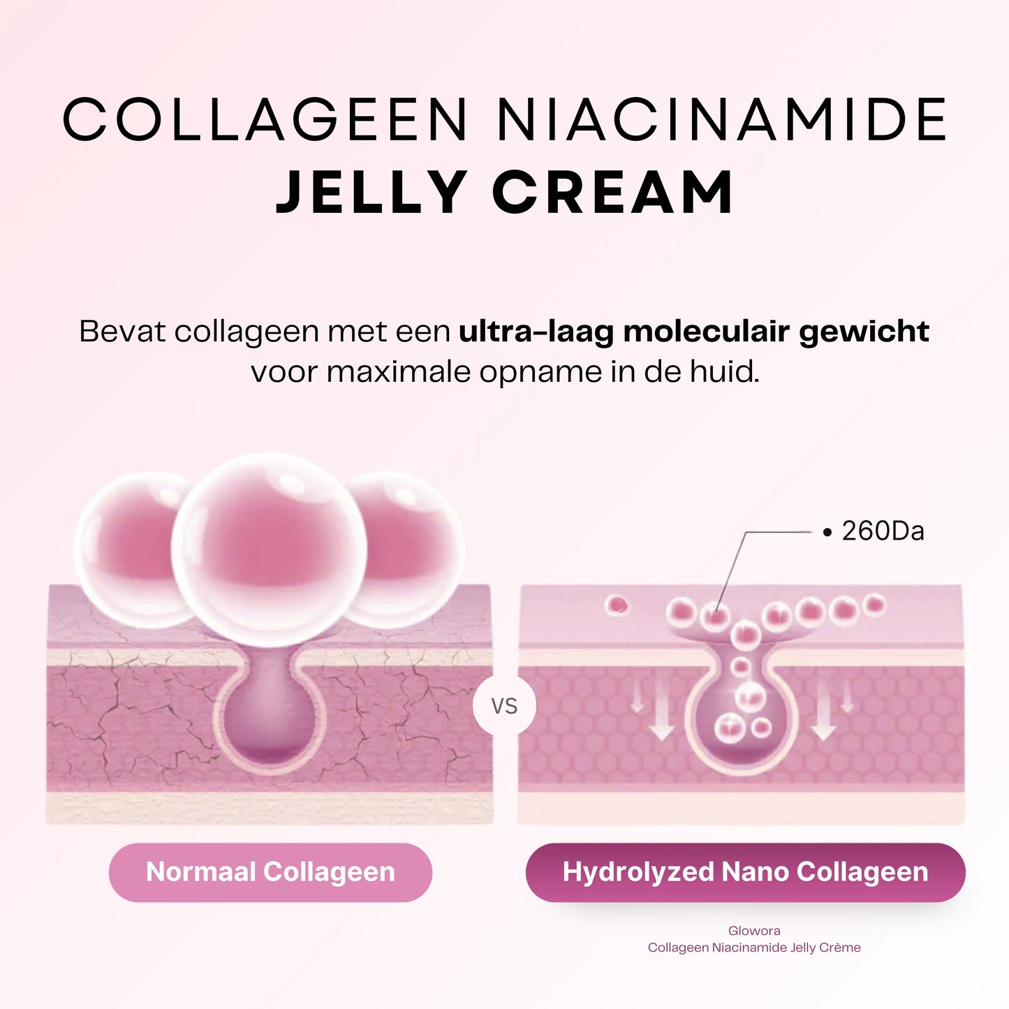 Collagen + Niacinamid Jelly Creme